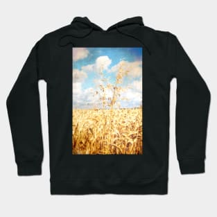 Harvest Hoodie